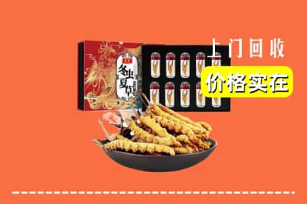 阿尔山市回收冬虫夏草