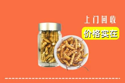 收购资讯:阿尔山市回收散虫草